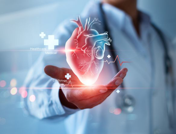 Heart disease and vascular disorder preventive concept. cardiolo