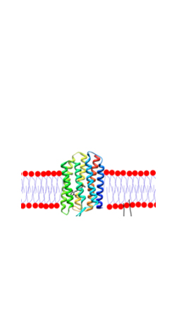 Membrane proteins gpcr