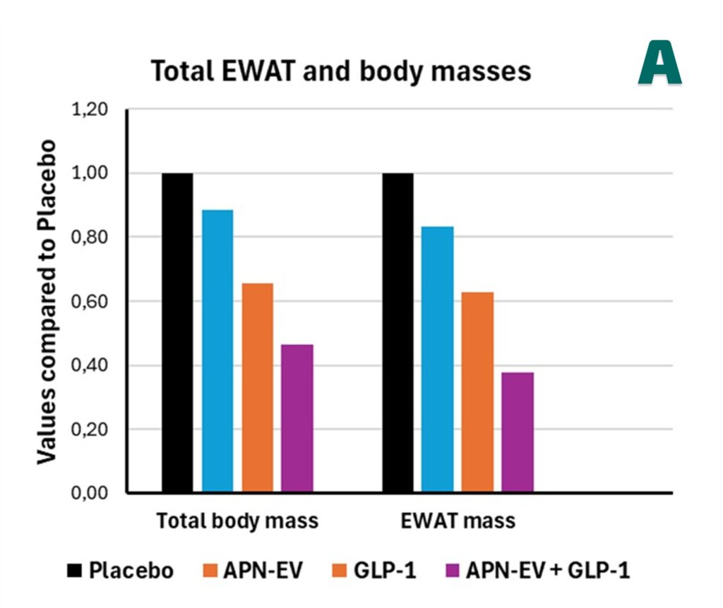 Ewat