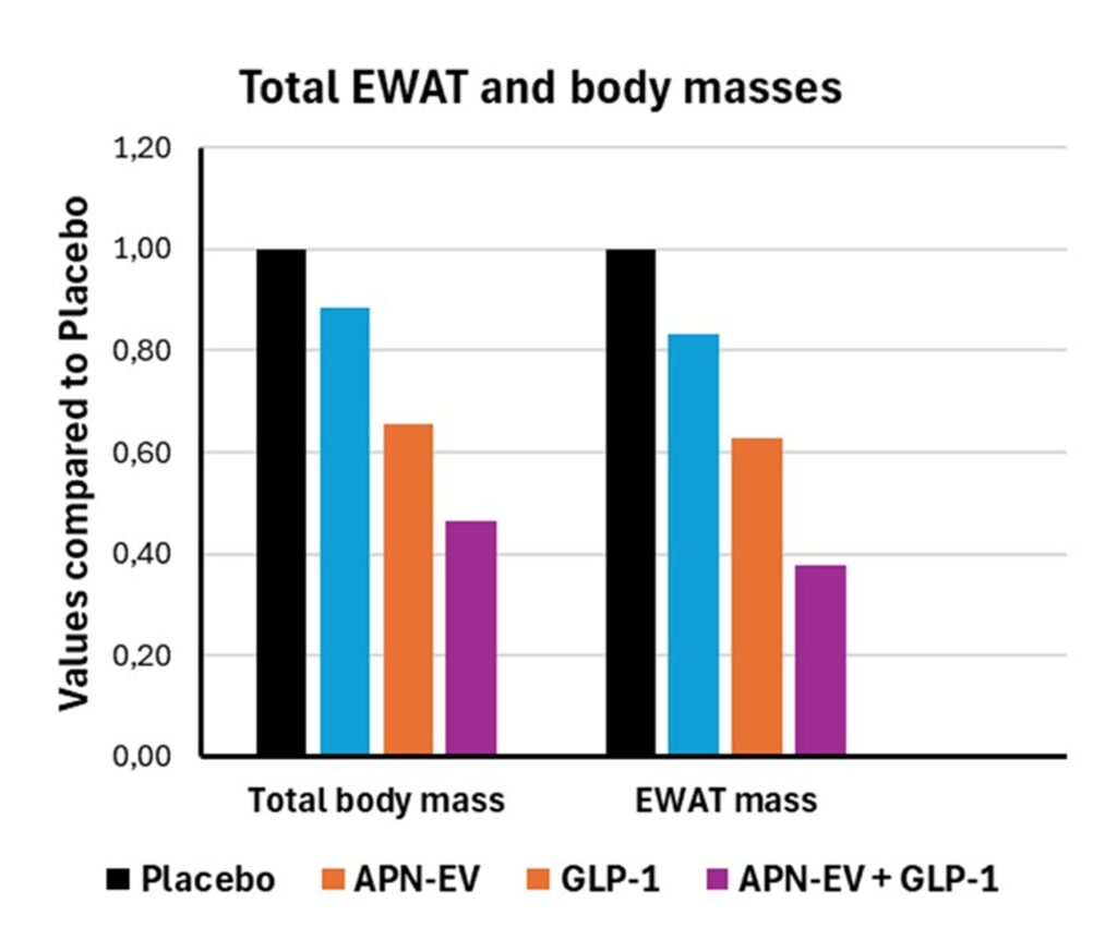 Ewat 2