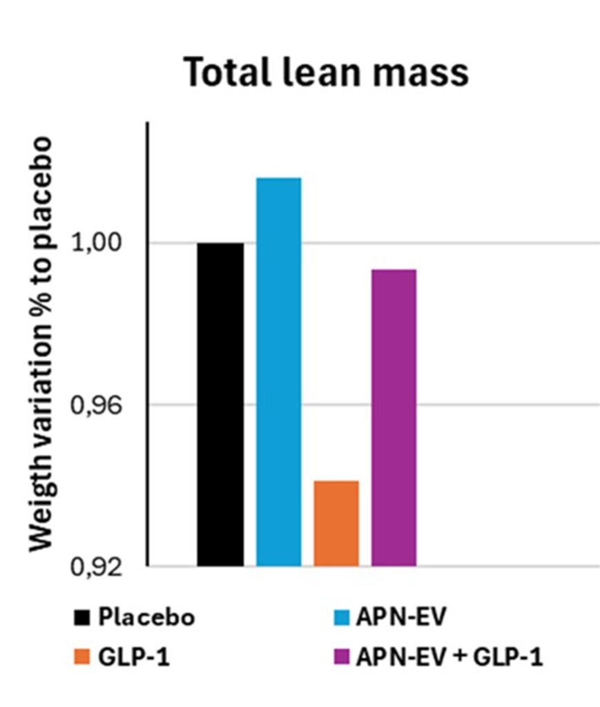 Lean mass 2
